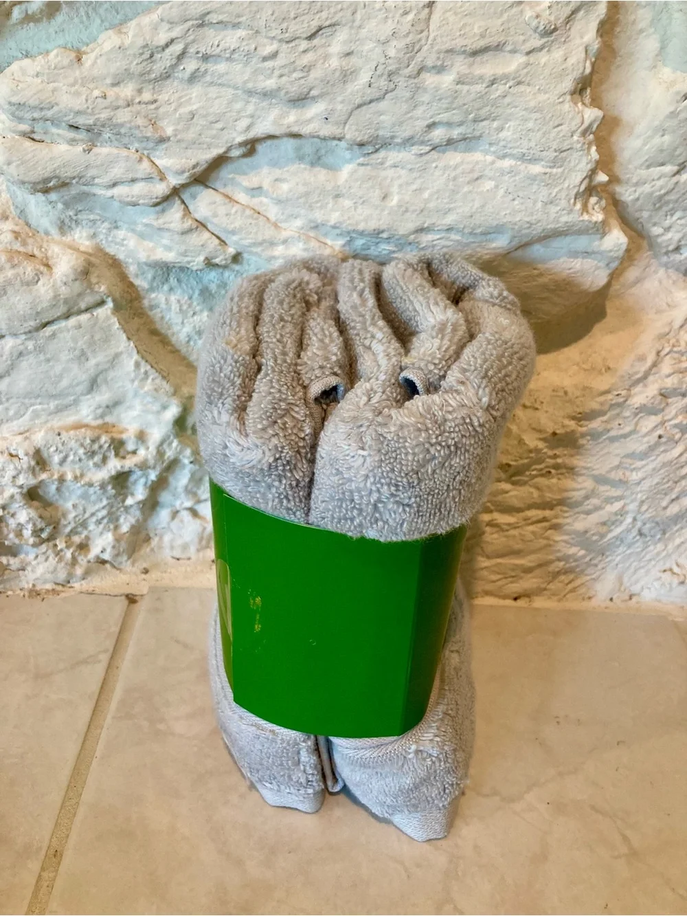 kate spade nwt kate